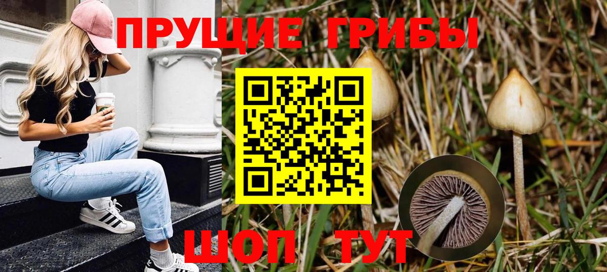 Мытищи  Псилоцибиновые грибы GOLDEN TEACHER  Вход с VPN 