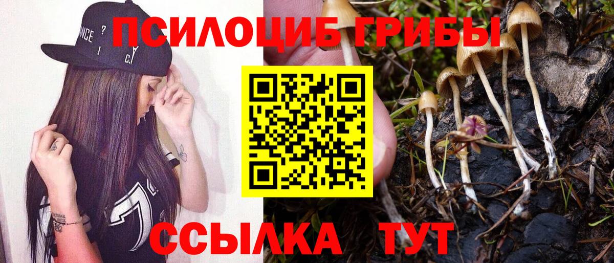 Галлюциногенные грибы прущие грибы Мытищи