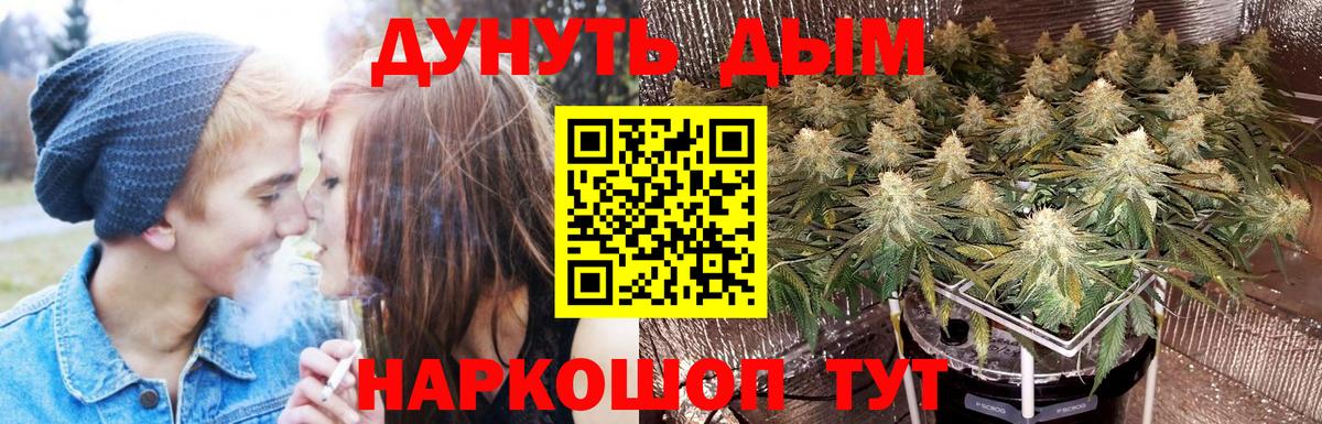 Каннабис VHQ  Вход с VPN  Конопля тримм  Мытищи  Конопля Ganja  Бошки марихуана MAZAR 